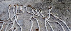 An image of thick ropes laying on the ground next to each other - Photo Credit: Matteo Pescarin